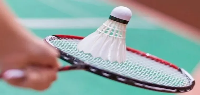 Cách Chơi Cá Cược Cầu Lông Tại V7bet Chi Tiết Cho Tân Thủ