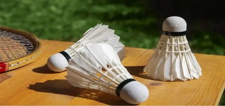 Cách Chơi Cá Cược Cầu Lông Tại V7bet Chi Tiết Cho Tân Thủ